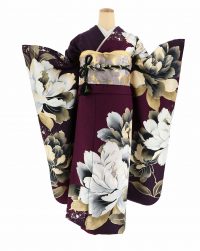 「かっこいい」印象を与える振袖の色